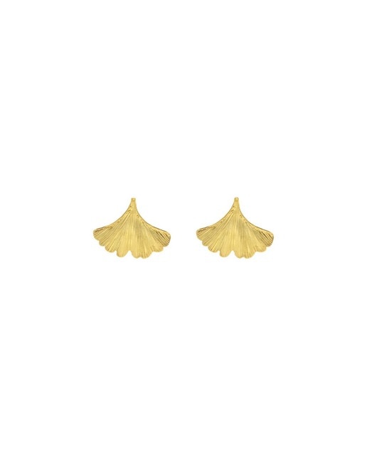 Imagem 0 de Brincos Coquine Gingko Biloba Peq
