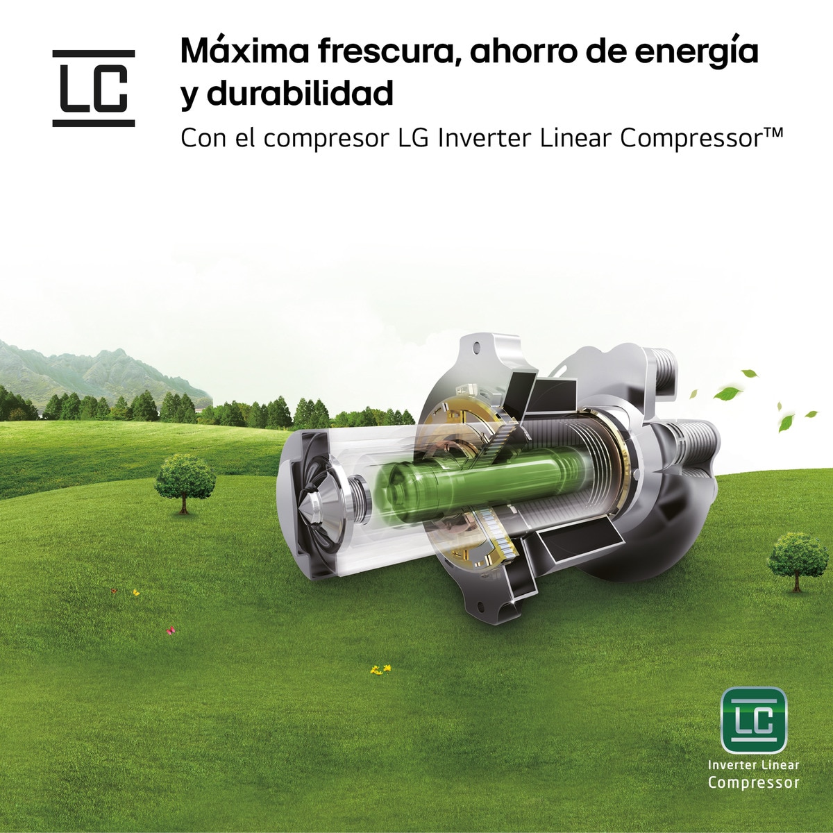 Frigorífico Combinado LG GBG7190CEV No Frost, Instaview e DoorCooling e de 186 cm - Black Steel Aço preto-13