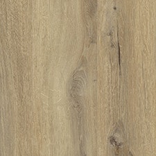 Daintree Brown Daintree Brown