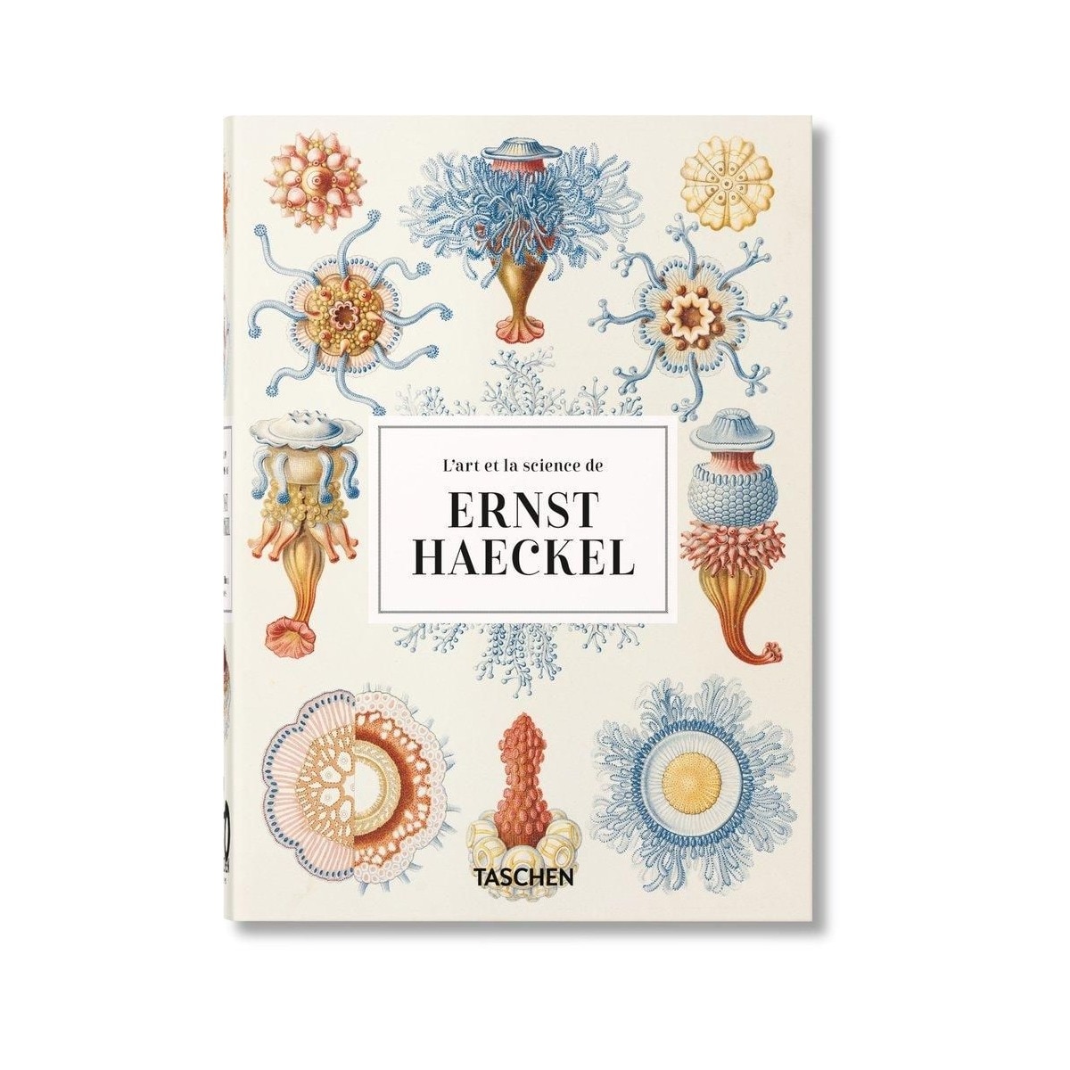 Lart et la science de ernst haeckel 40th anniversa 1