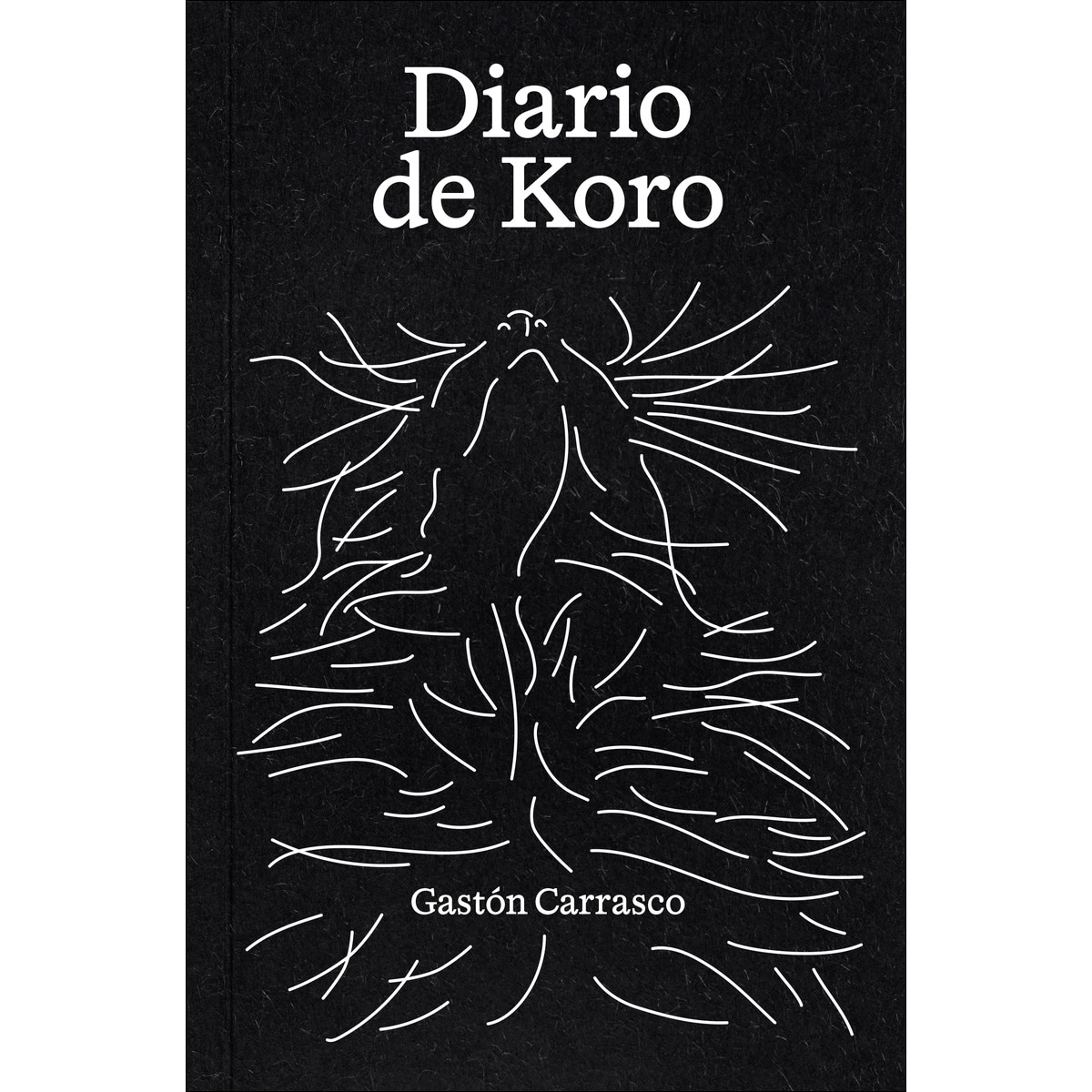Diario de koro 1
