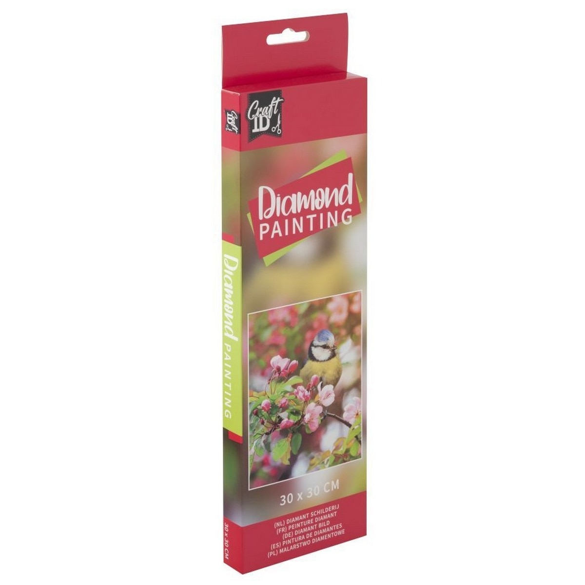 Imagem 0 de Pintura de diamante 30x30 cm. O pássaro