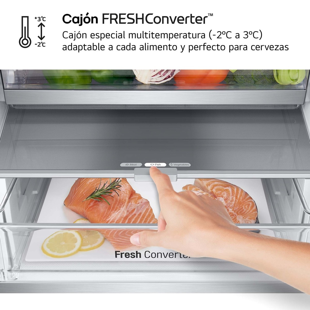 Frigorífico Combinado LG GBV7180CPY Total No Frost, Door Cooling+ e de 186 cm - Inox Inox anti marcas-8