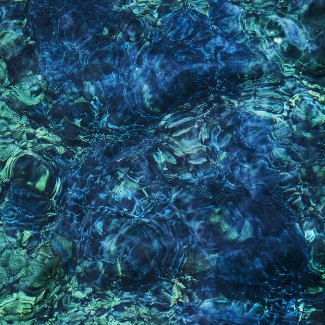 Imagen 0 de Luminescent Creatures (Edición eco soft case) (CD)