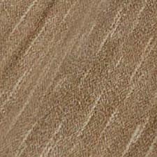 Daintree Brown Daintree Brown