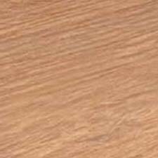 Daintree Brown