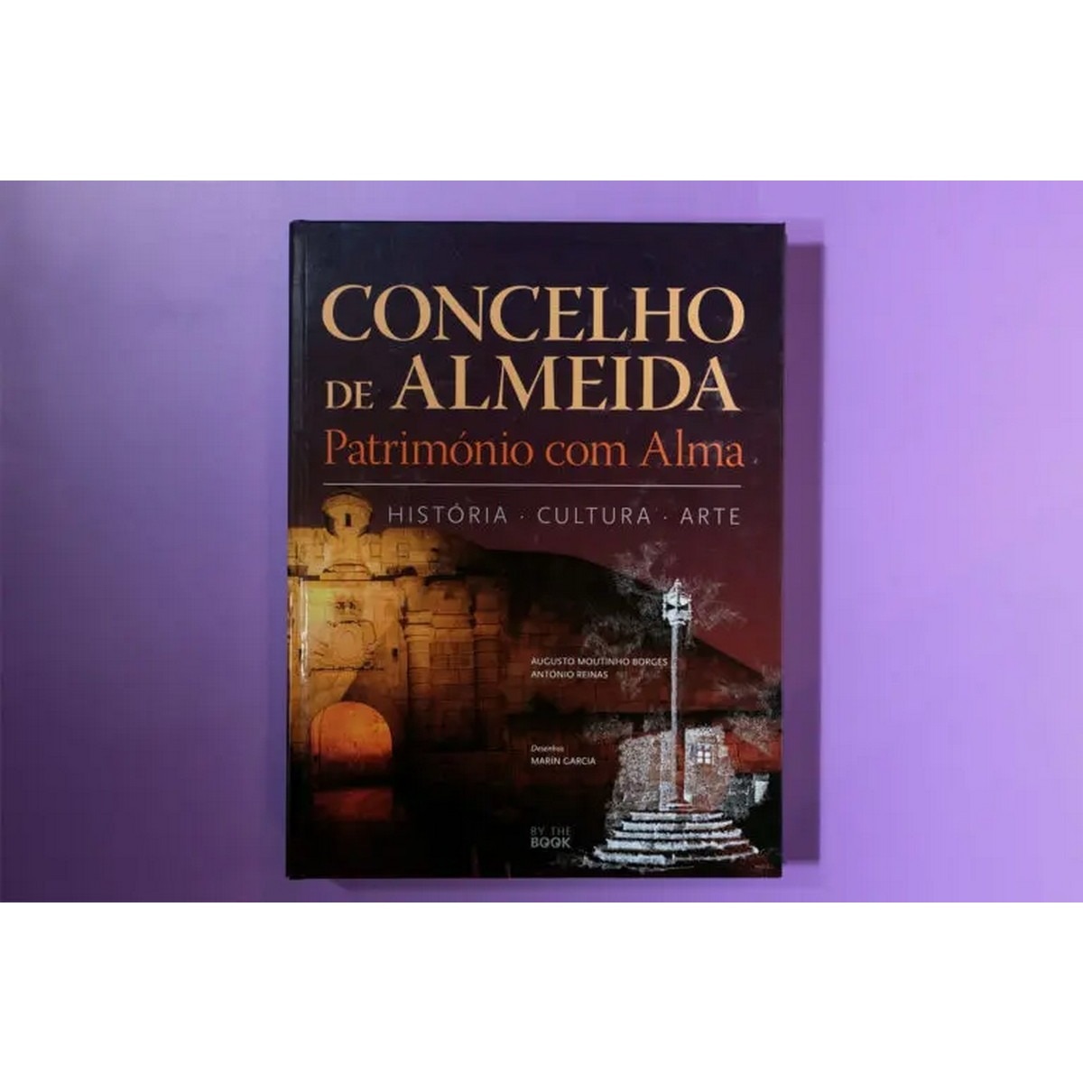 Concelho de almeida 1
