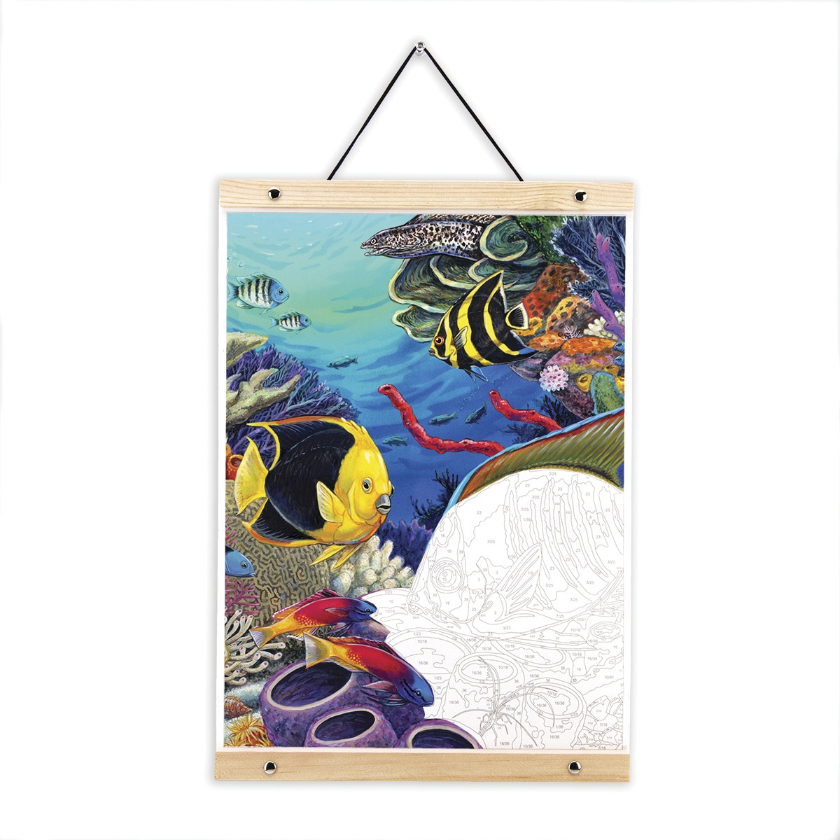 Pintar por números PBN-ROLL7 con lienzo para colgar, pinturas y pinceles, dibujo arrecife de coral del Caribe marca Royal Langnickel 6