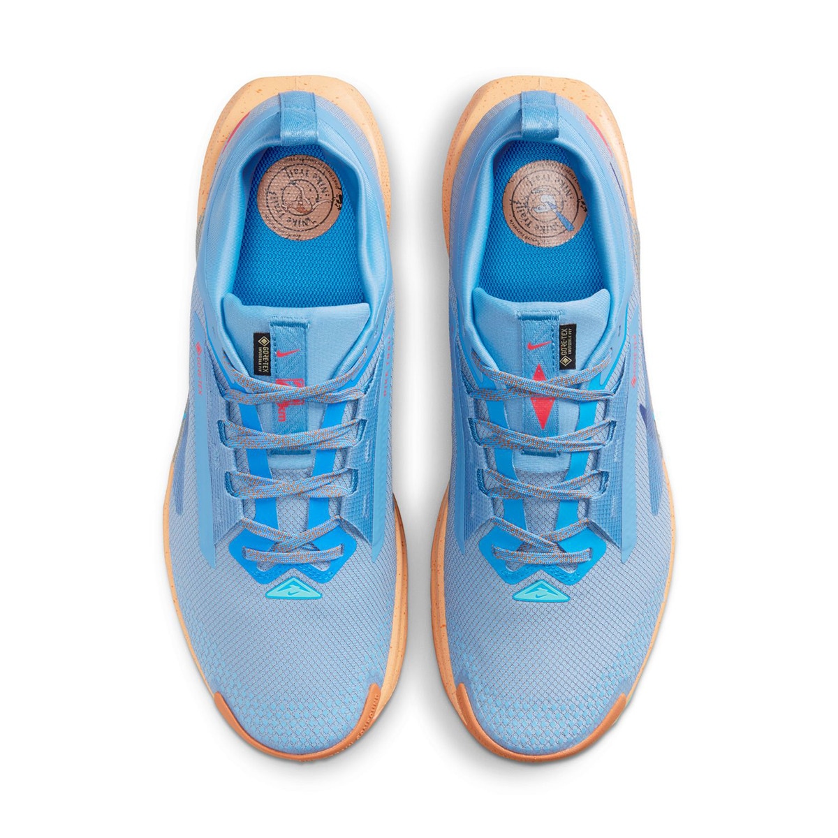 Sapatilhas de Trail de Homem Pegasus Trail 5 Gore-Tex Azul-3