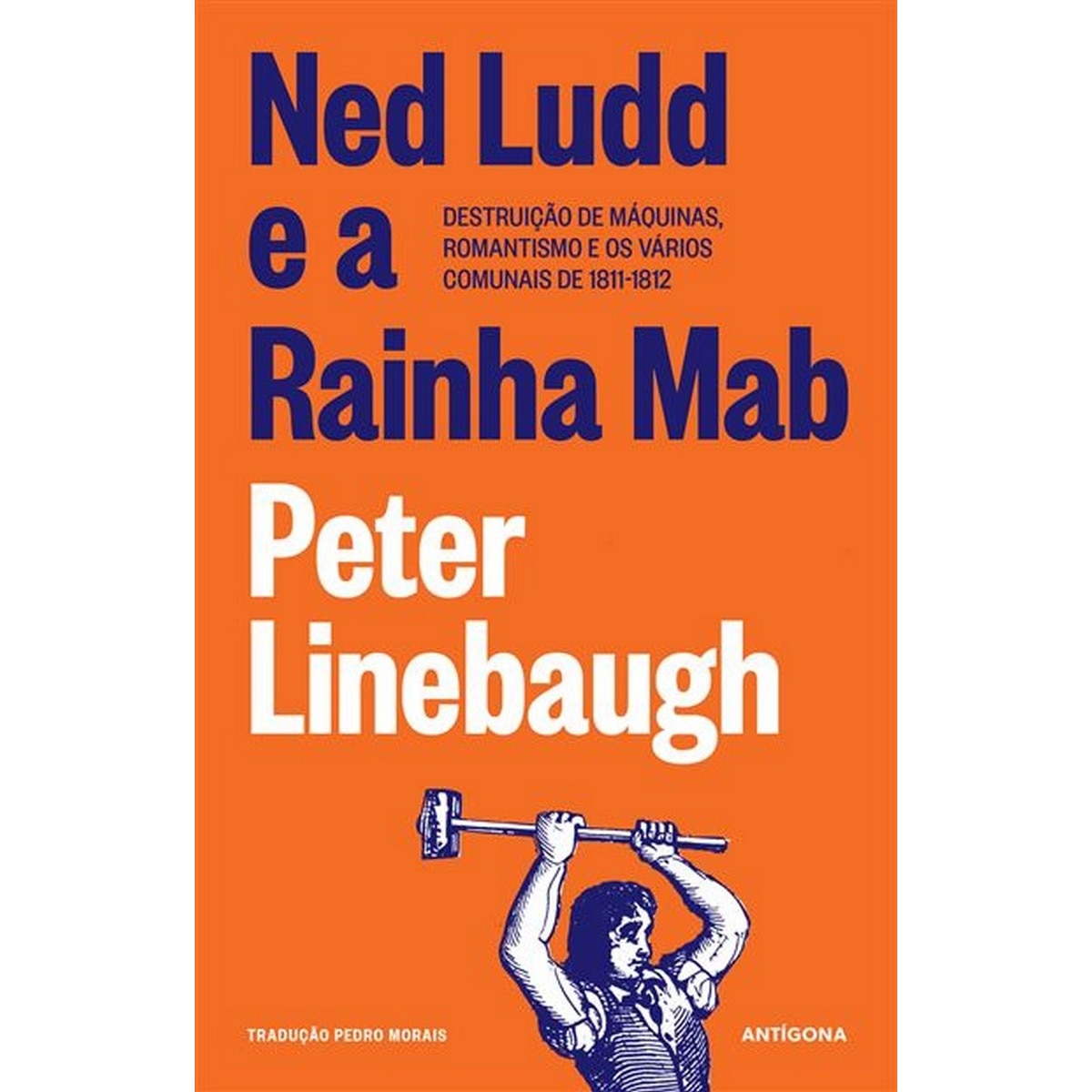 Ned ludd e a rainha mab 1