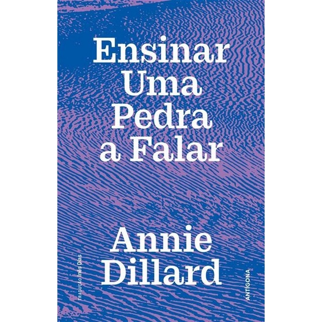 Imagem 0 de Ensinar uma pedra a falar