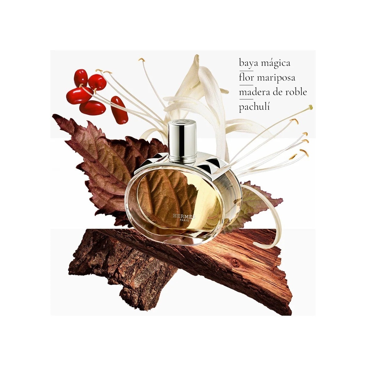 Creme Corporal Perfumado Barénia d'Hermès 3
