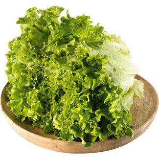 Alface Frisada Embalada Peso Aproximado por unidade 300 g