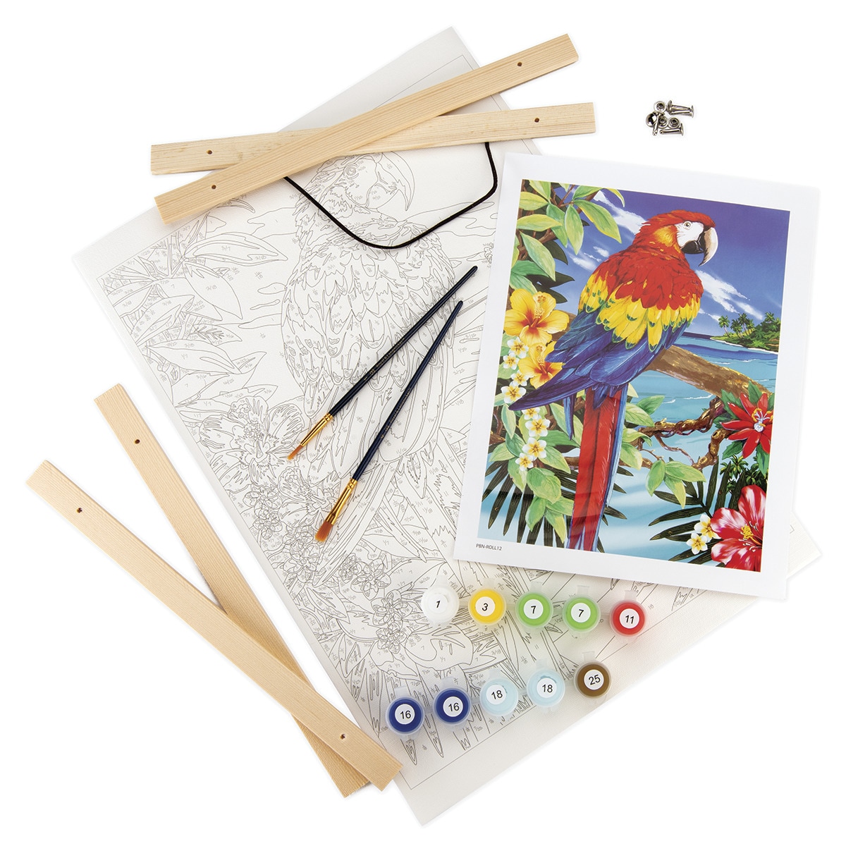 Pintar por números PBN-ROLL12 con lienzo para colgar, pinturas y pinceles, dibujo Guacamayo rojo escarlata marca Royal Langnickel 5