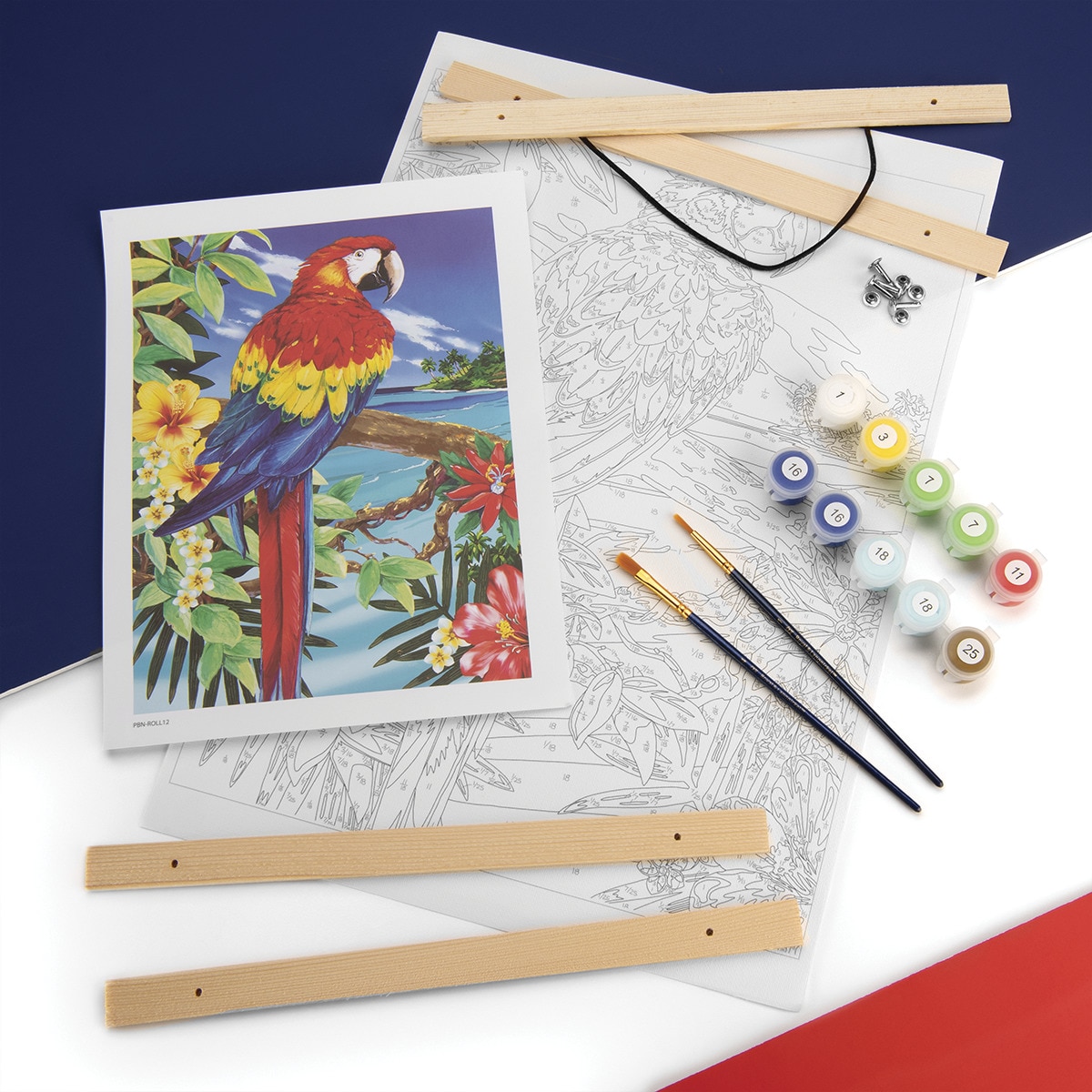 Pintar por números PBN-ROLL12 con lienzo para colgar, pinturas y pinceles, dibujo Guacamayo rojo escarlata marca Royal Langnickel 3