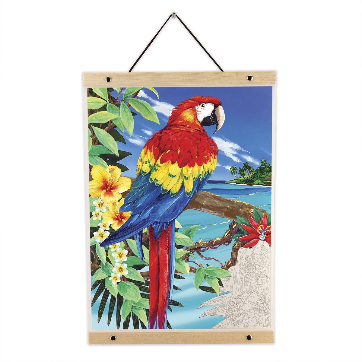 Pintar por números PBN-ROLL12 con lienzo para colgar, pinturas y pinceles, dibujo Guacamayo rojo escarlata marca Royal Langnickel 1
