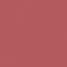 N111 - NUDE BLUSH