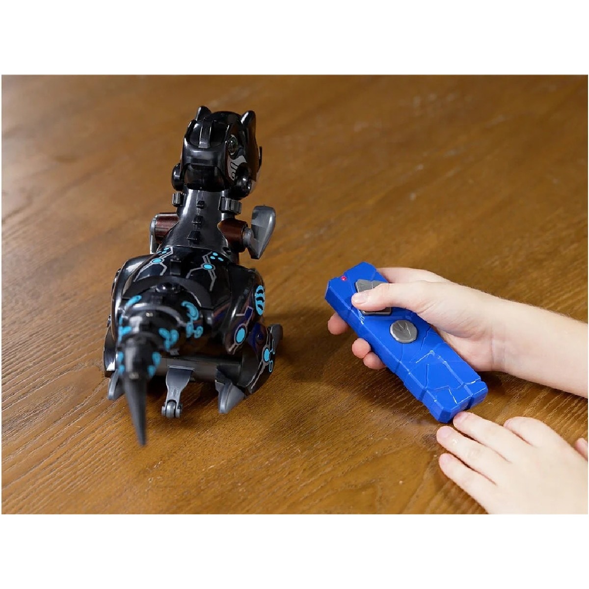 Ycoo - Train my Dino 2 7