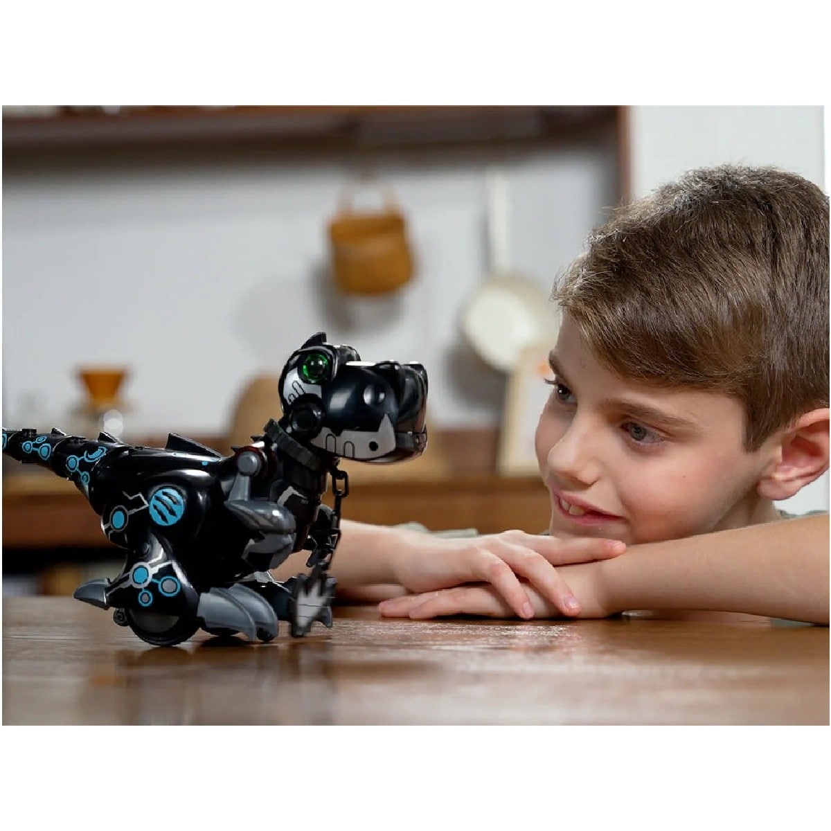 Ycoo - Train my Dino 2 2