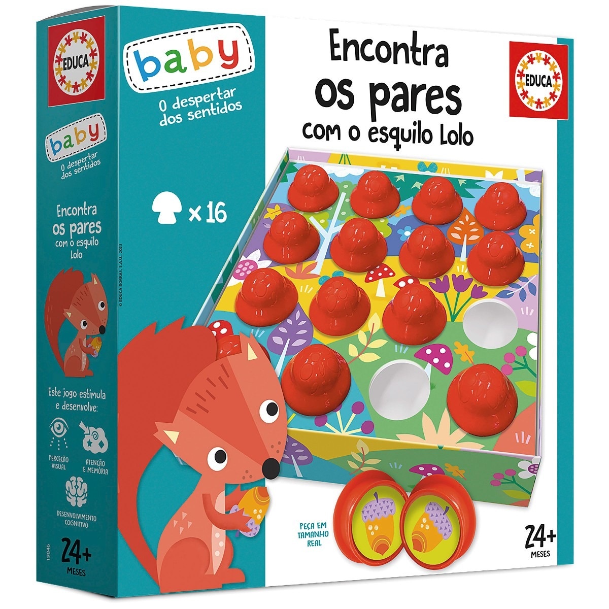 Imagem 0 de Encontra os pares com o esquilo Lolo