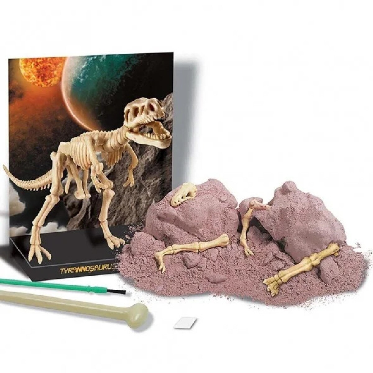 Kit Geológico de Construção de um Tiranossauro Rex 4
