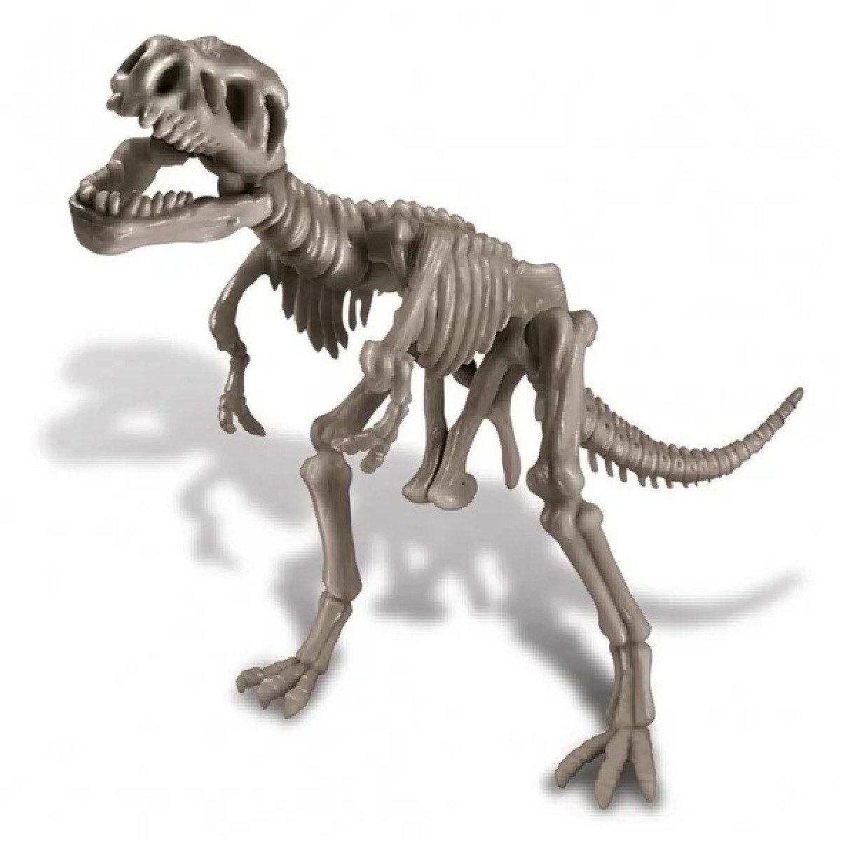 Kit Geológico de Construção de um Tiranossauro Rex 2