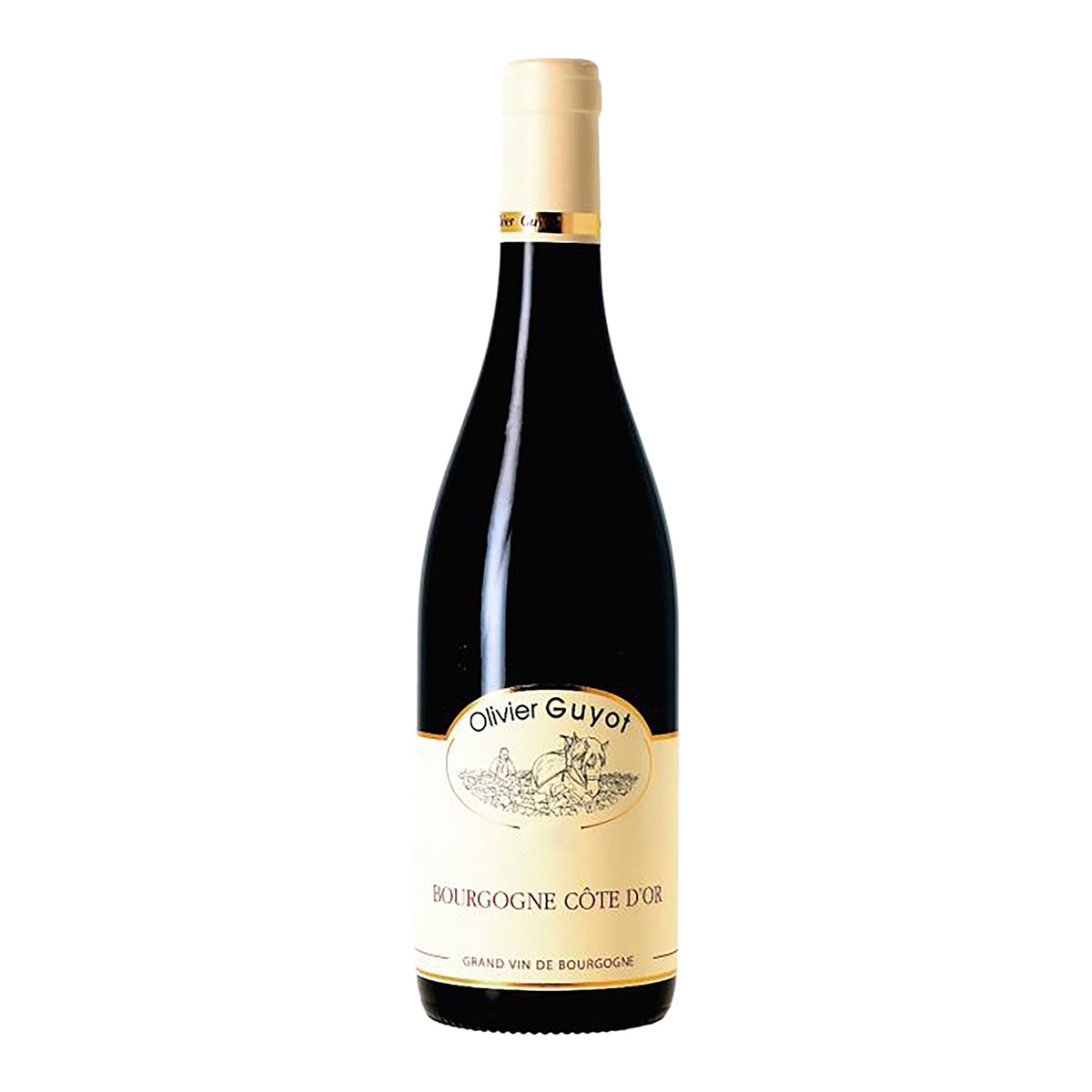 Imagen 0 de Vino tinto Olivier Guyot Côte d'Or pinot noir 2022 Borgoña
