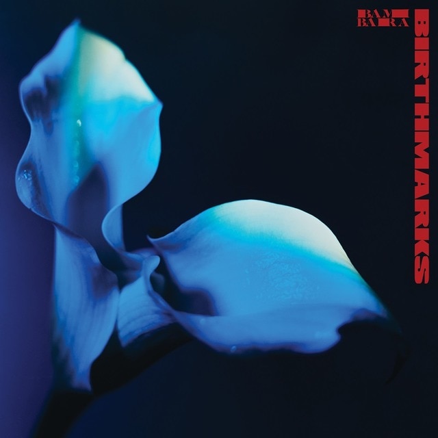 Imagen 0 de Birthmarks (LP-Vinilo)