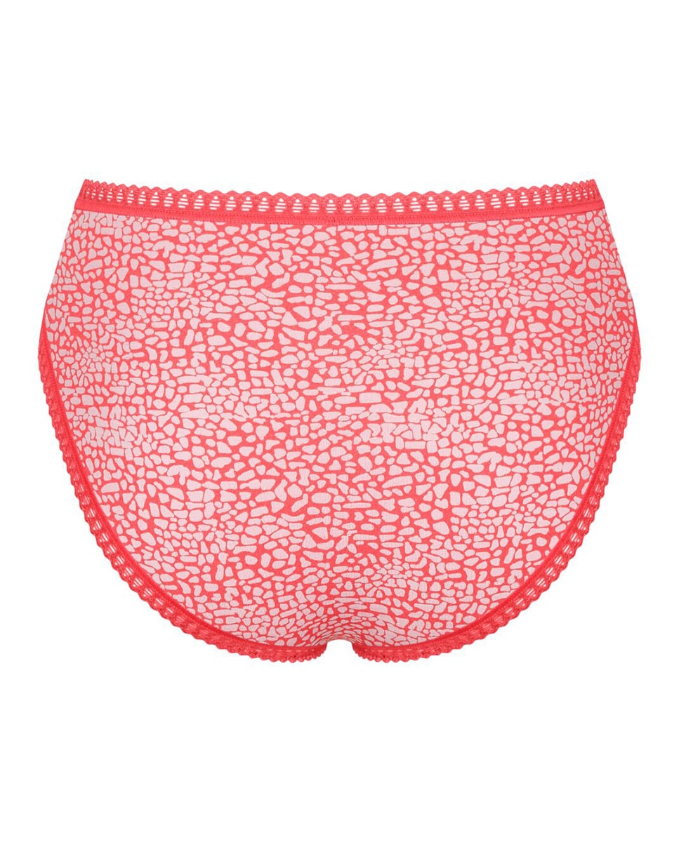 Pack de Cuecas de Estilo Tai Multicolor-7