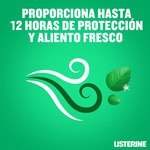 fresh mint mouthwash for teeth and gums flask 500 ml