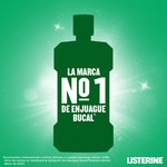 fresh mint mouthwash for teeth and gums flask 250 ml