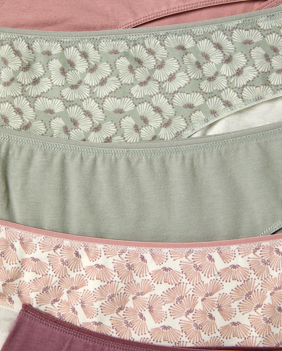 Pack 5 braga bikini algodón estampadas Verde-4