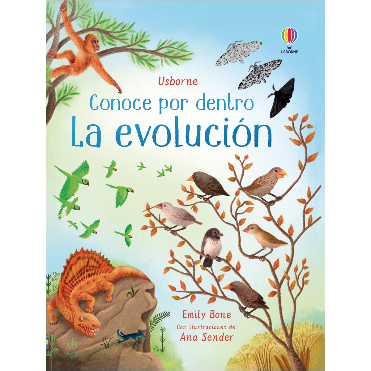 La evolución 1