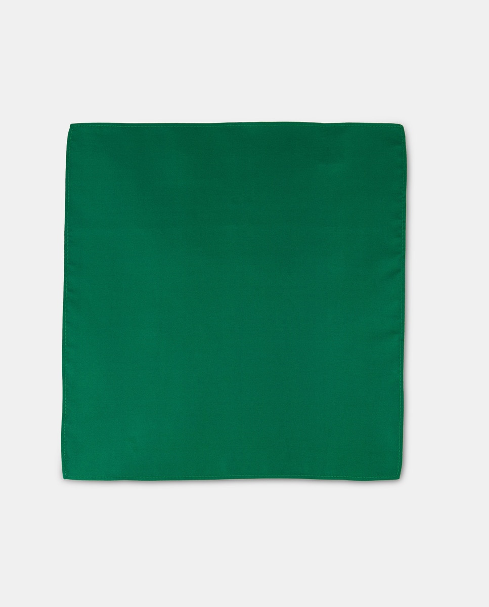 Estojo de Gravata Verde-2