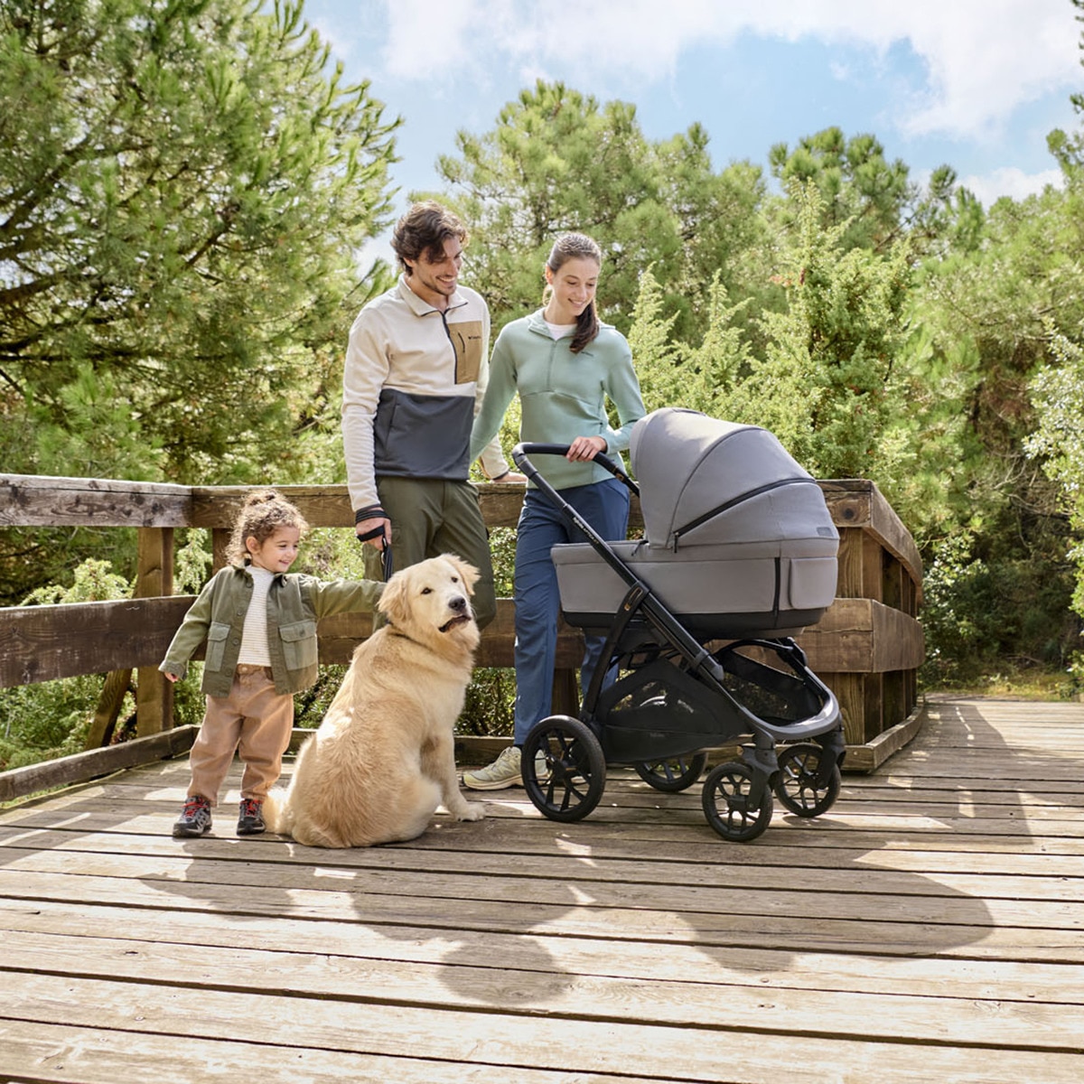 Carro de bebé Inglesina System Duo Áptica XT Verde oscuro-7