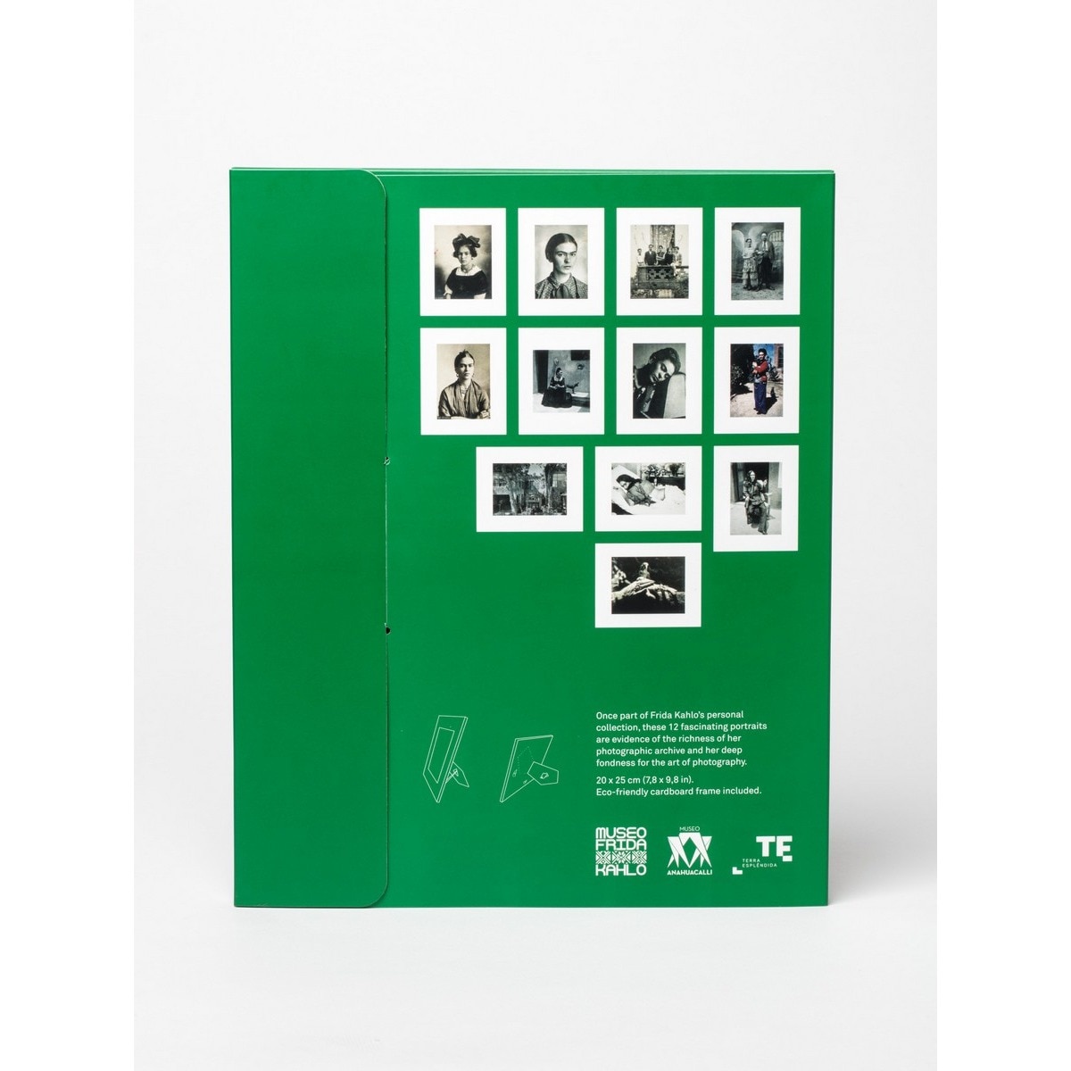 Postal frida kahlo 2