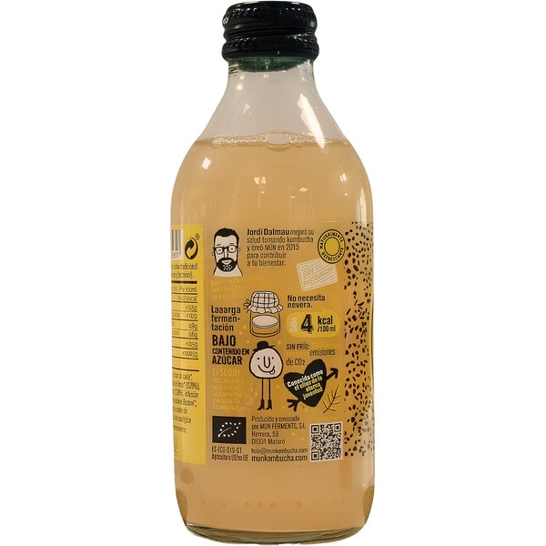 Kombucha fermentiertes Bio-Grüner-Tee-Getränk Ingwer-Zitrone-Geschmack glutenfrei, vegan Flasche 250 ml zuckerarm