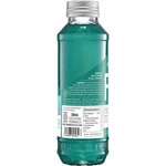 Blue Mojito yuzu and spirulina Kombucha bottle 330 ml