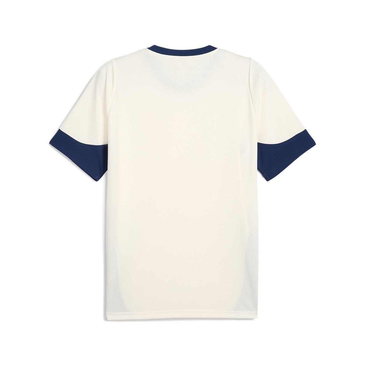 T-shirt de Treino de Homem Portugal FPF Bege-7