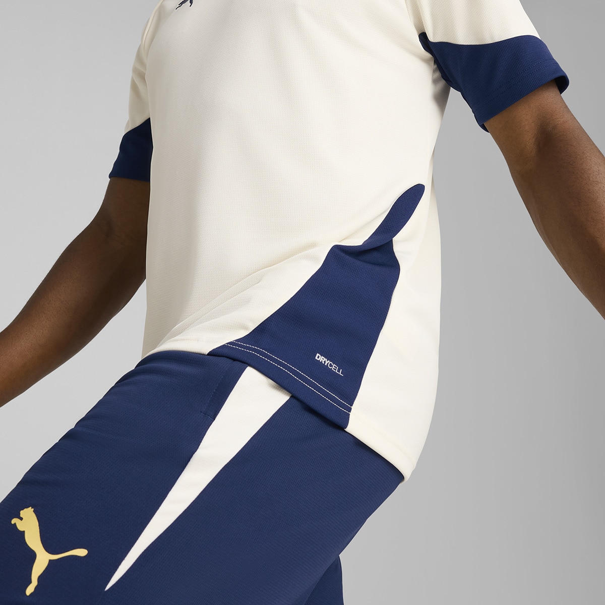 T-shirt de Treino de Homem Portugal FPF Bege-4