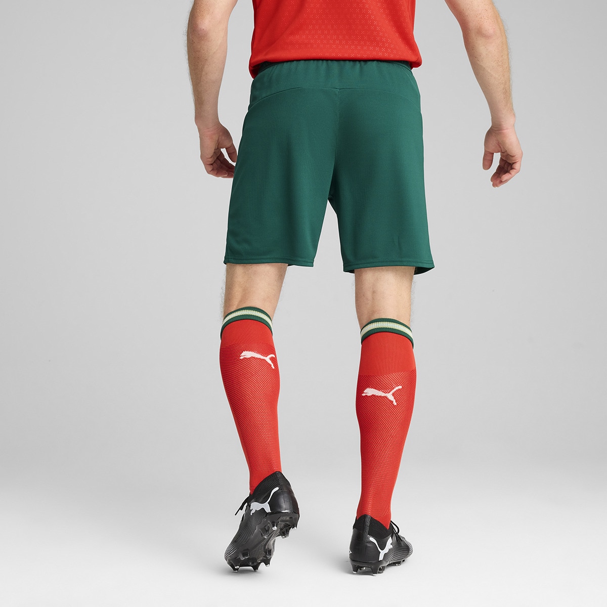 Calções de Homem Seleção de Portugal FPF Verde-2