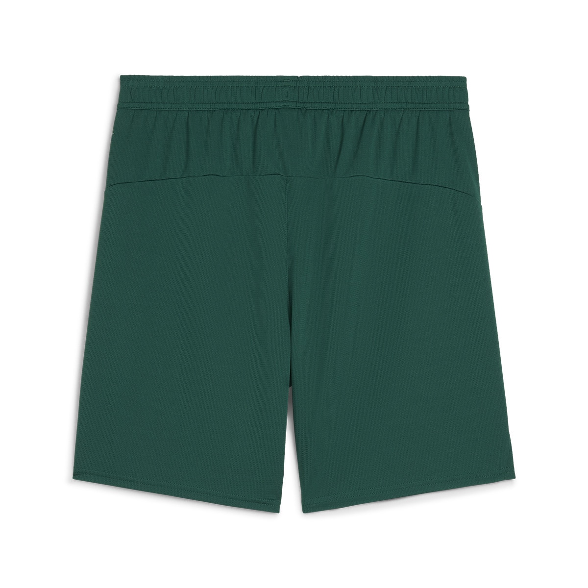 Calções de Homem Seleção de Portugal FPF Verde-7