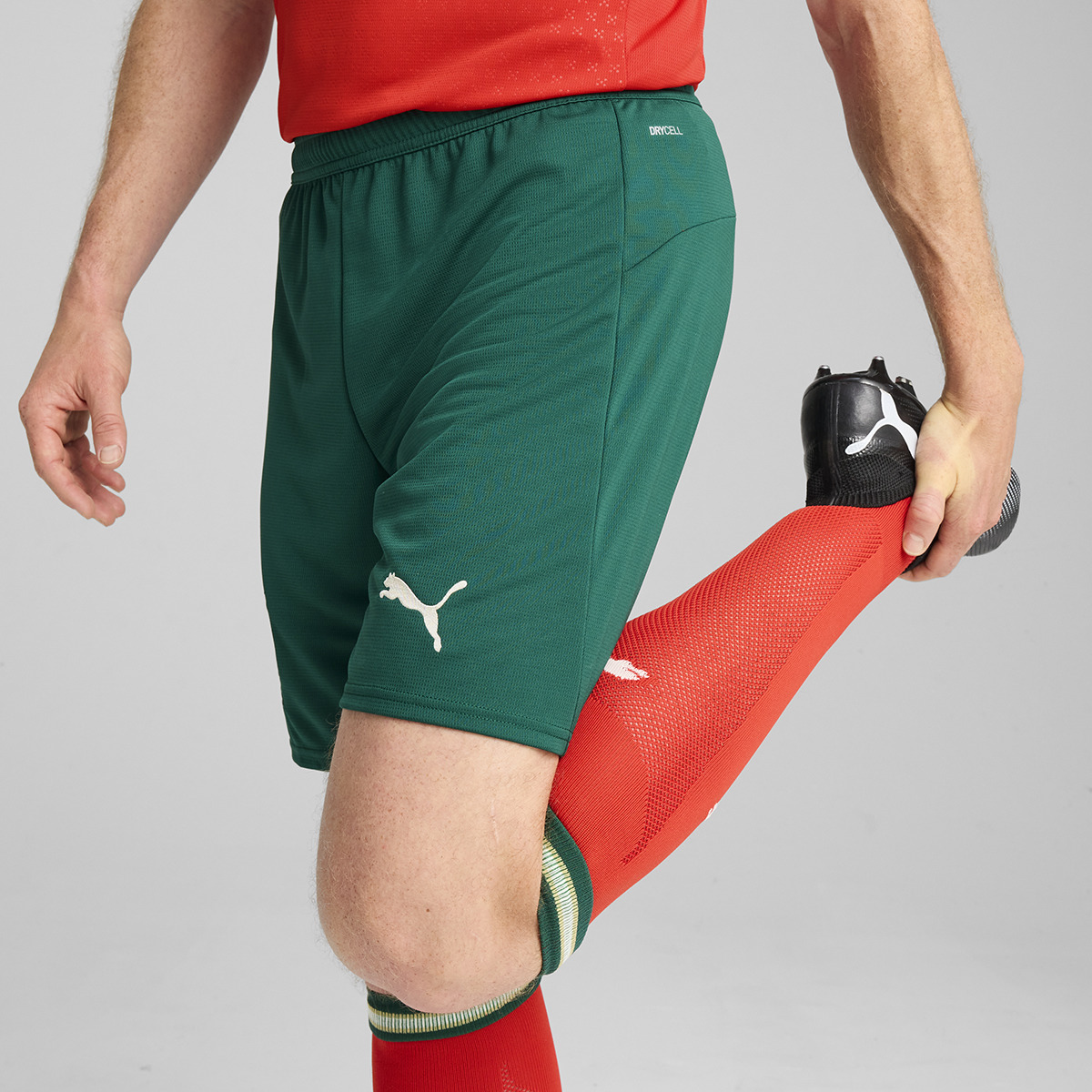 Calções de Homem Seleção de Portugal FPF Verde-4