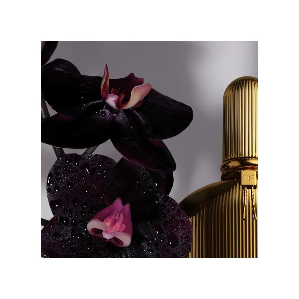 Black Orchid Eau de Parfum 2