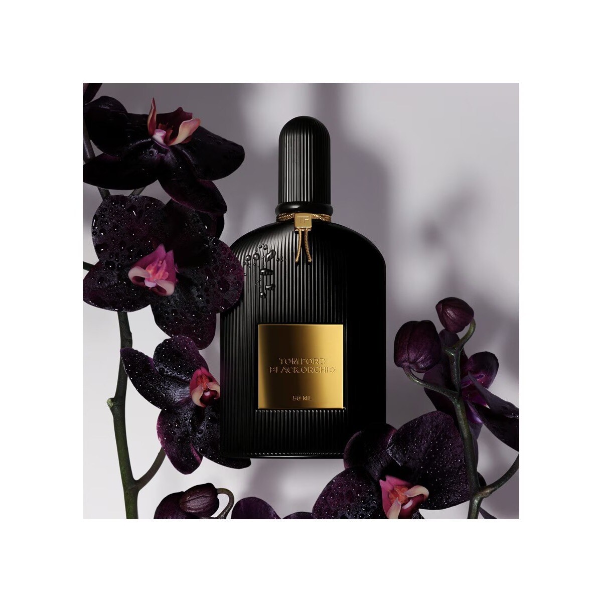 Spray Corporal Black Orchid All Over Body 2