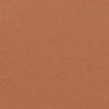 7.5 Shell Beige