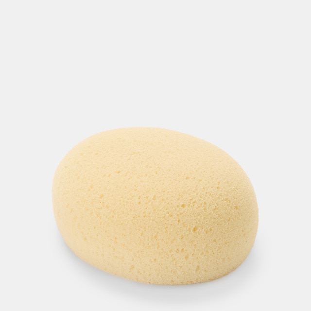 Imagem 0 de Esponja Hidrófila