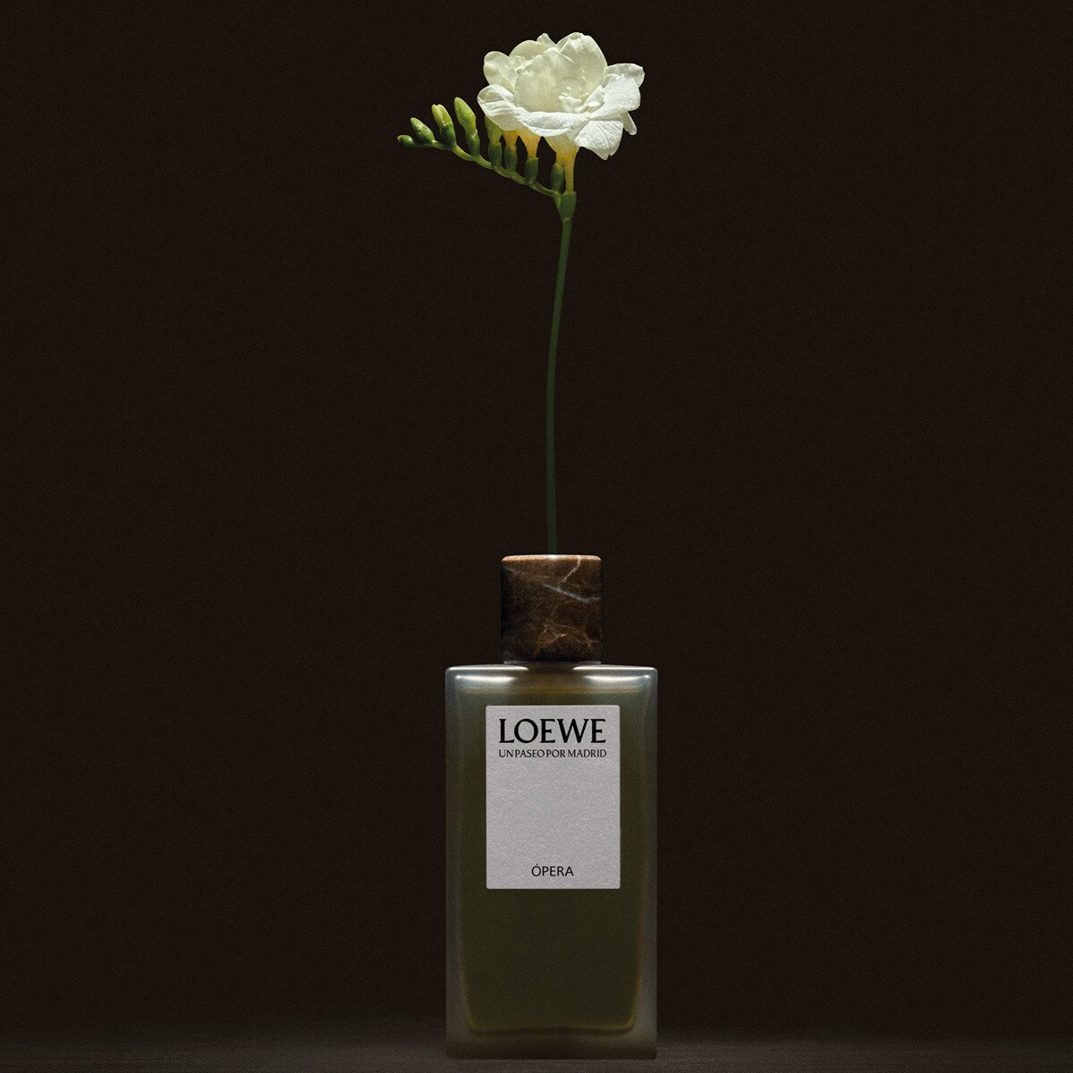 Un Paseo Por Madrid 'Ópera' Eau de Parfum 4