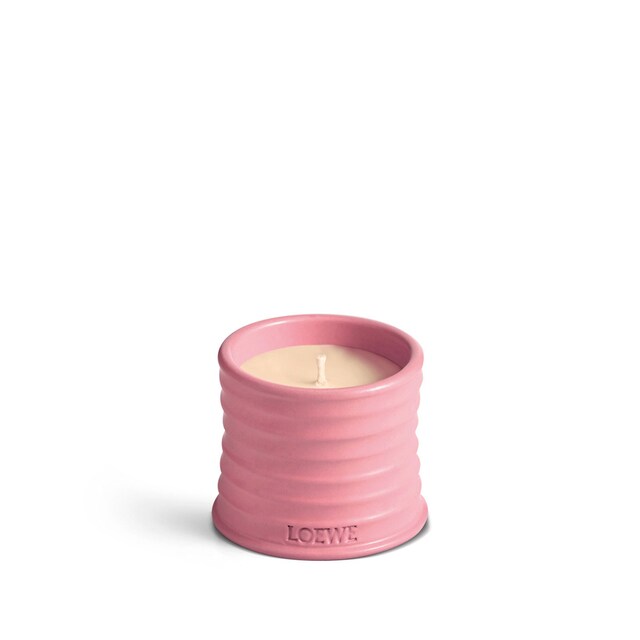 Imagem 0 de Vela Aromática Home Scents Ivy L