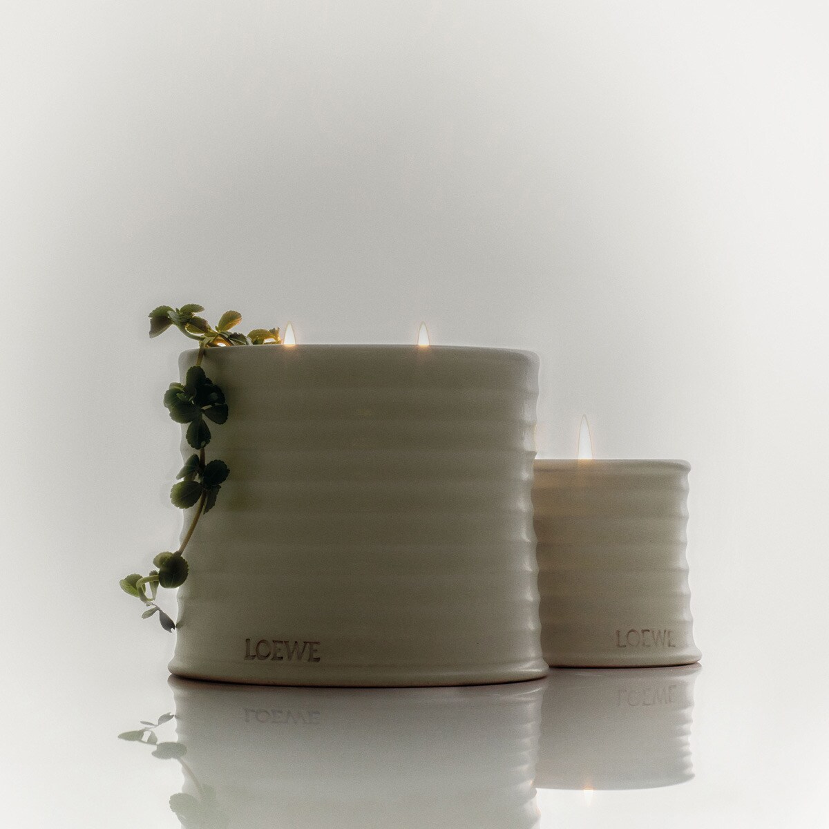 Vela Aromática Home Scents Oregano L 5